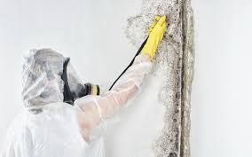 Best Dehumidification Services in East Islip, NY